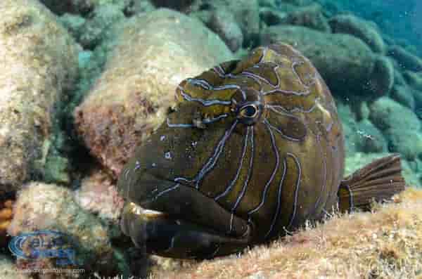 Thumbnail 6 Thumbnail 6