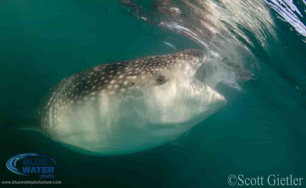 Thumbnail 8 Thumbnail 8