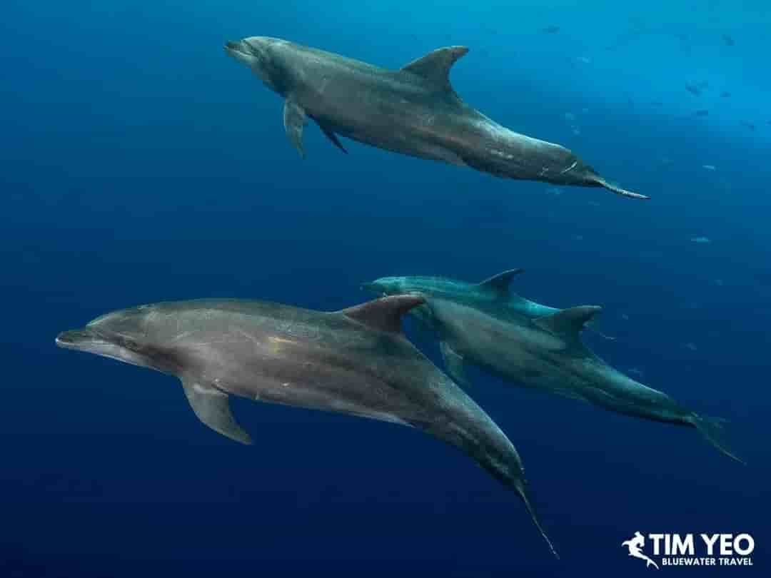 Thumbnail 3 Thumbnail 3