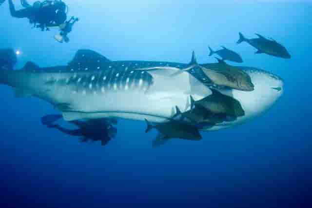 Thumbnail 3 Thumbnail 3