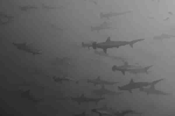 Thumbnail 6 Thumbnail 6