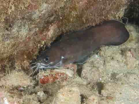 Thumbnail 1 Thumbnail 1