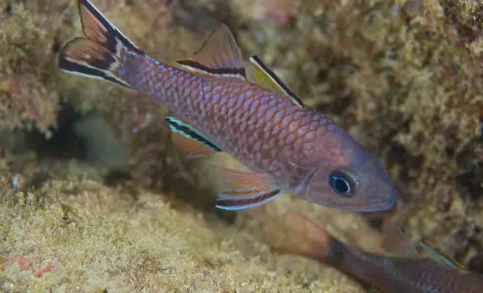 Thumbnail 2 Thumbnail 2