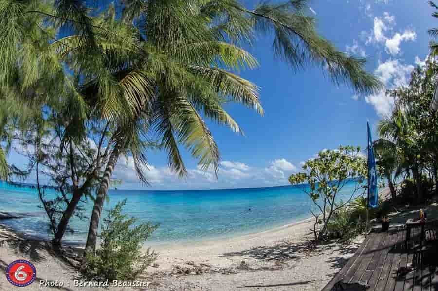 Thumbnail 4 Thumbnail 4