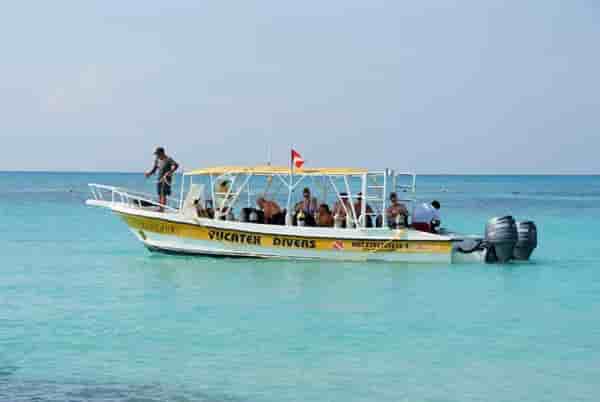 Thumbnail 8 Thumbnail 8