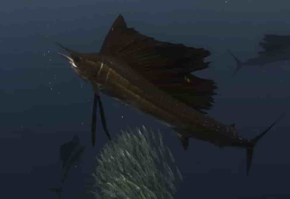 Thumbnail 8 Thumbnail 8