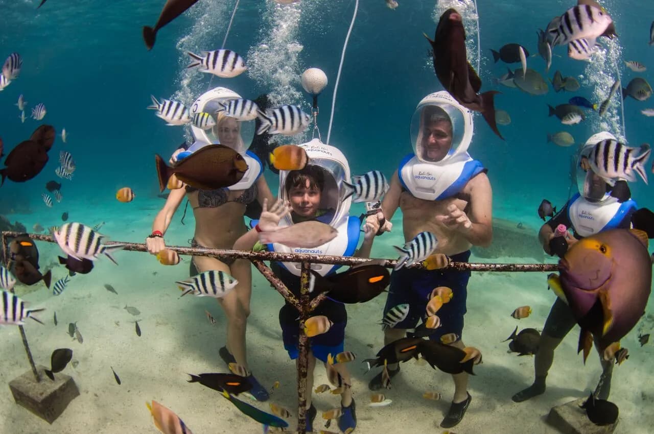 Bali Hai Diving Adventures - image Bali Hai Diving Adventures - image