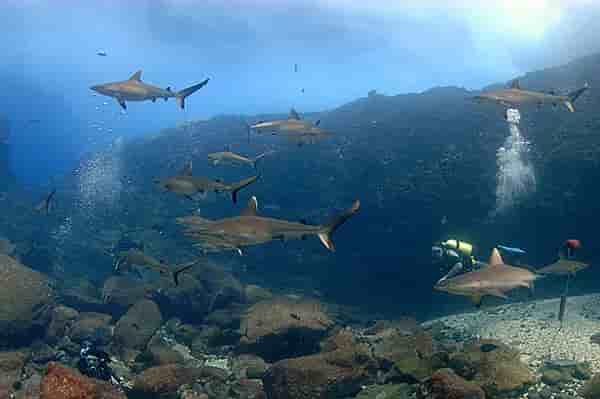 Thumbnail 6 Thumbnail 6