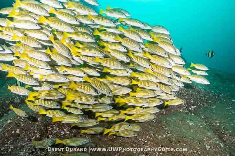 Thumbnail 1 Thumbnail 1