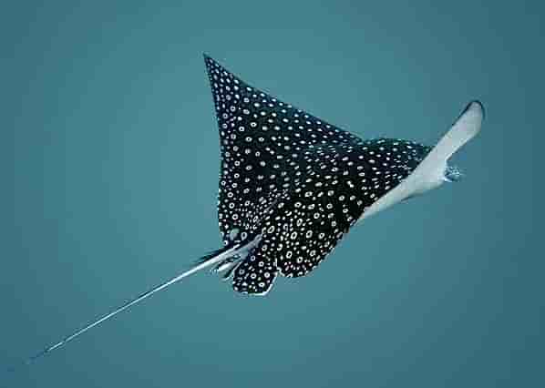 Thumbnail 10 Thumbnail 10