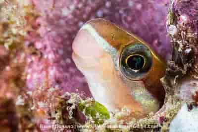 Thumbnail 12 Thumbnail 12