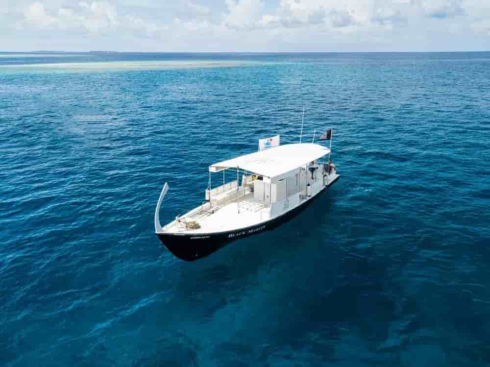 Thumbnail 4 Thumbnail 4