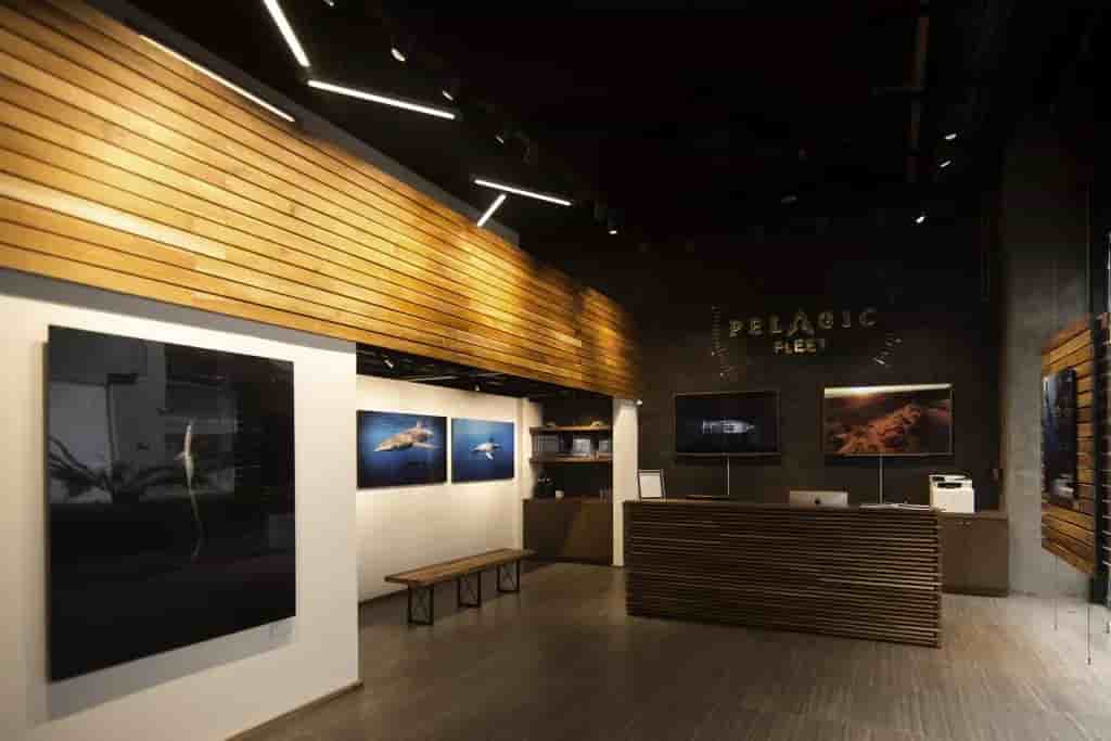 Thumbnail 9 Thumbnail 9