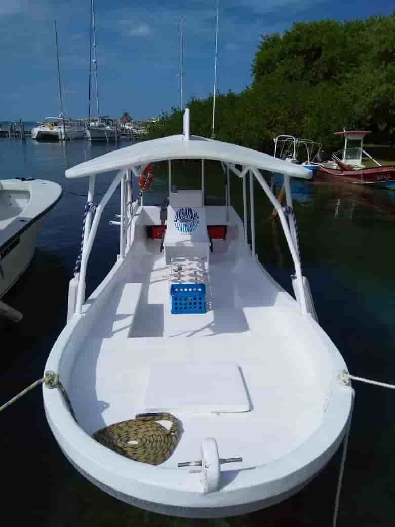 Thumbnail 5 Thumbnail 5