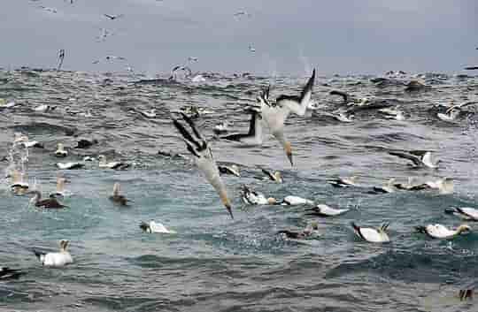 Thumbnail 3 Thumbnail 3