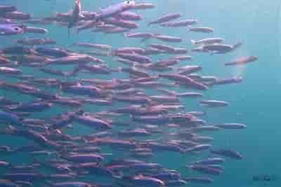 Thumbnail 10 Thumbnail 10