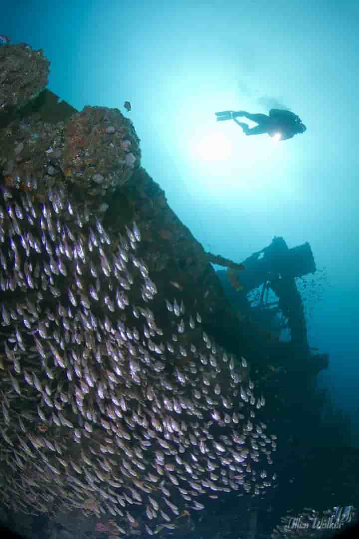 Thumbnail 11 Thumbnail 11