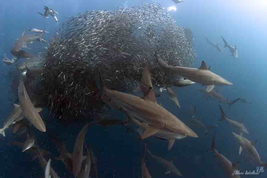 Thumbnail 4 Thumbnail 4