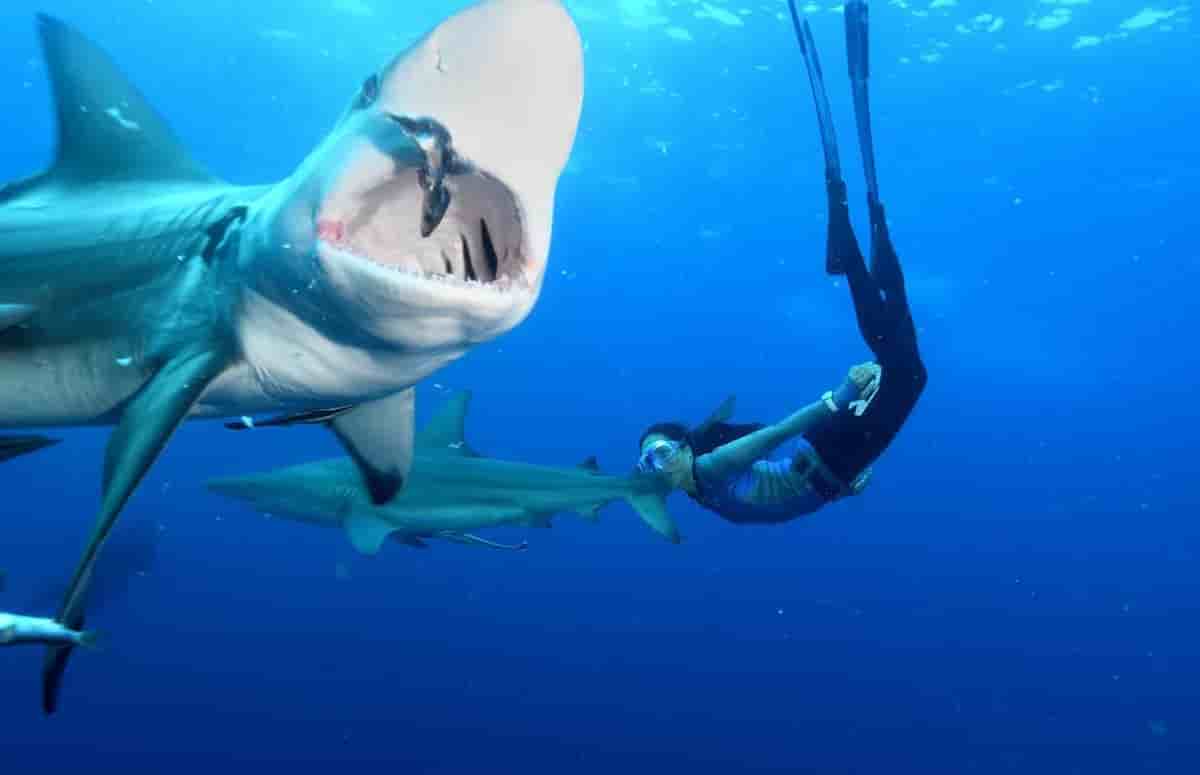 Thumbnail 16 Thumbnail 16