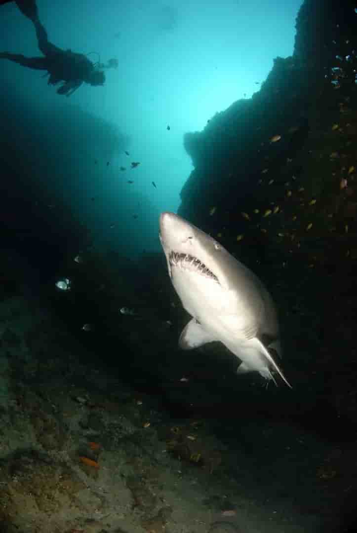 Thumbnail 17 Thumbnail 17