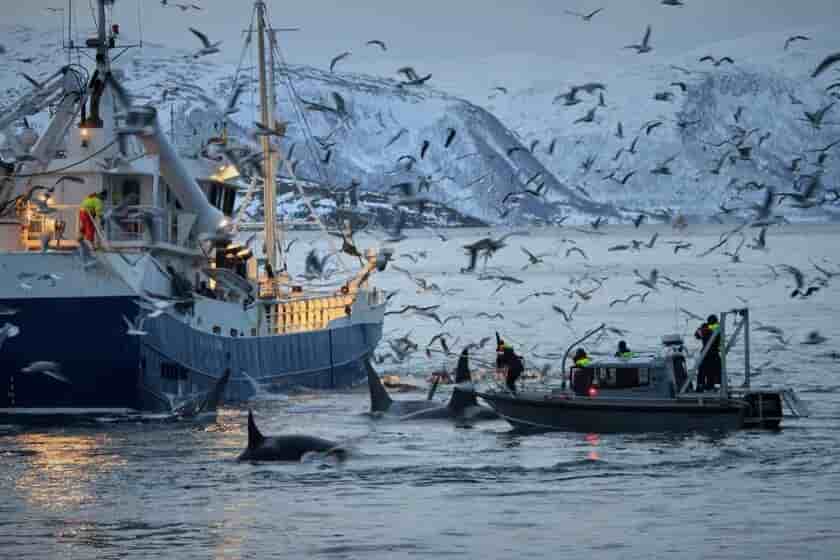 Thumbnail 1 Thumbnail 1