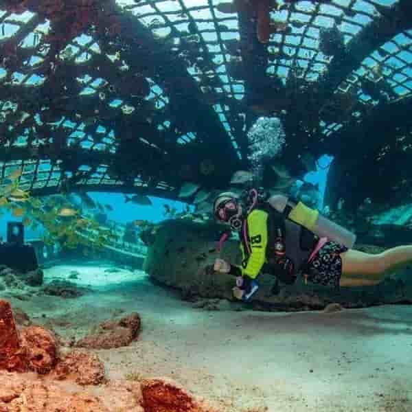 Thumbnail 3 Thumbnail 3