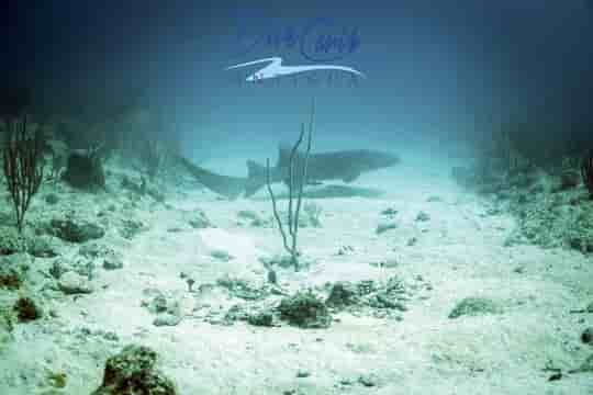 Thumbnail 6 Thumbnail 6