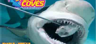 Thumbnail 4 Thumbnail 4