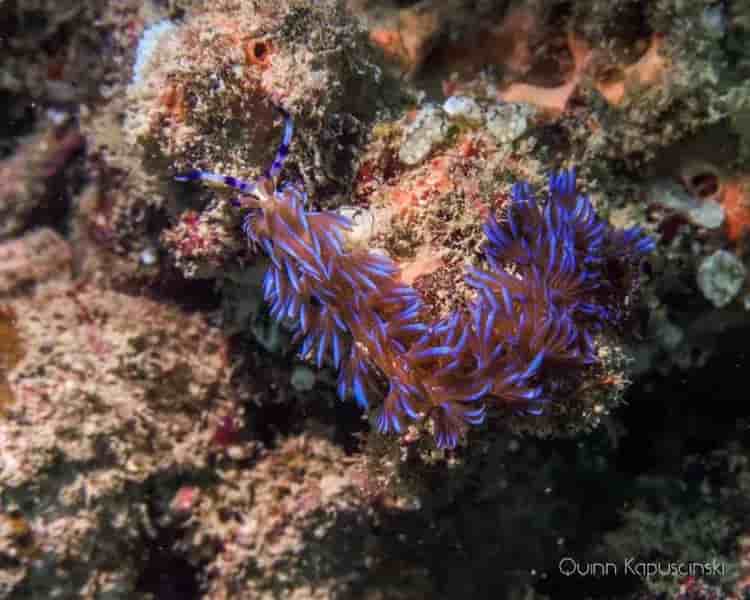 Thumbnail 3 Thumbnail 3