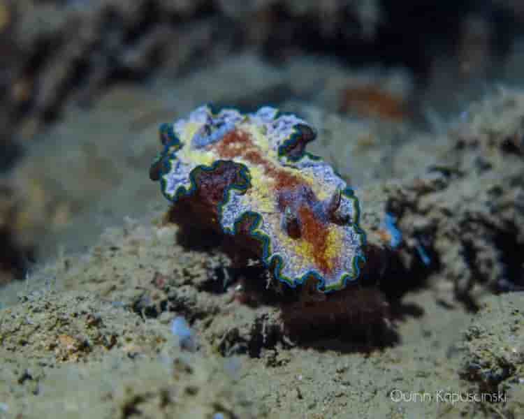 Thumbnail 4 Thumbnail 4