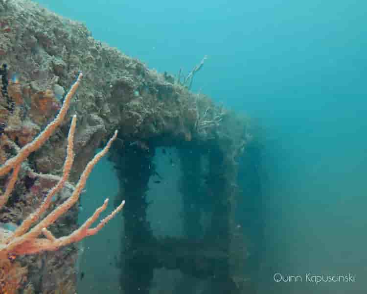 Thumbnail 10 Thumbnail 10