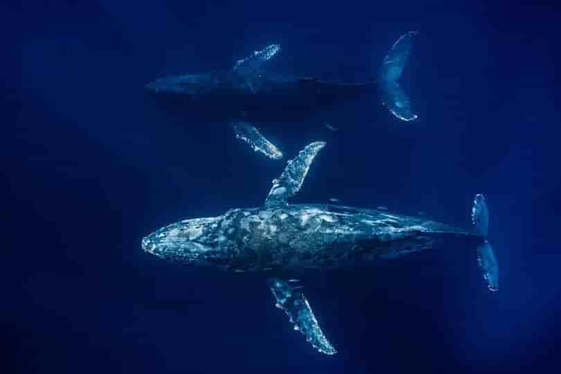 Thumbnail 4 Thumbnail 4