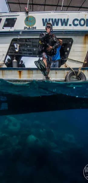 Coral Grand Divers - image Coral Grand Divers - image