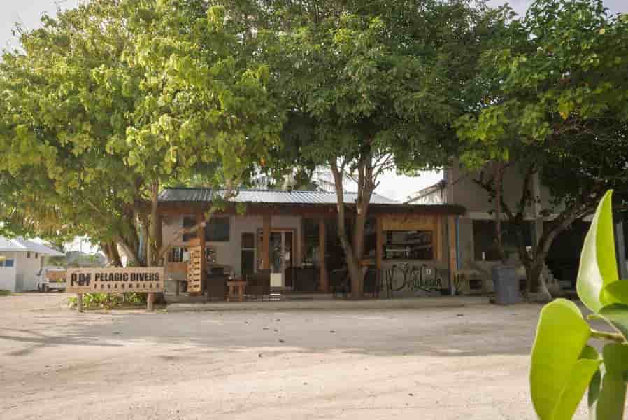 Thumbnail 5 Thumbnail 5