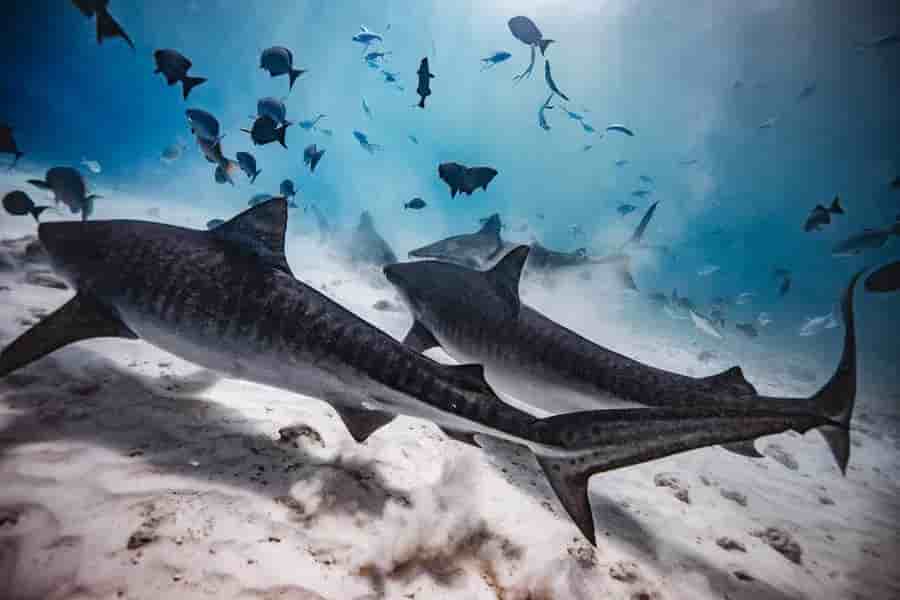 Thumbnail 2 Thumbnail 2