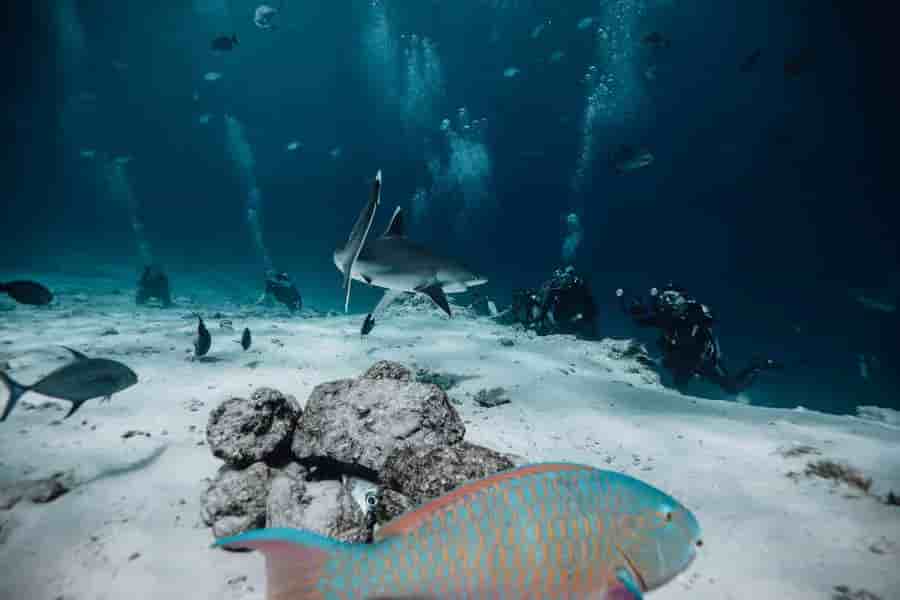 Thumbnail 9 Thumbnail 9