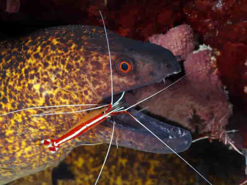 Thumbnail 1 Thumbnail 1