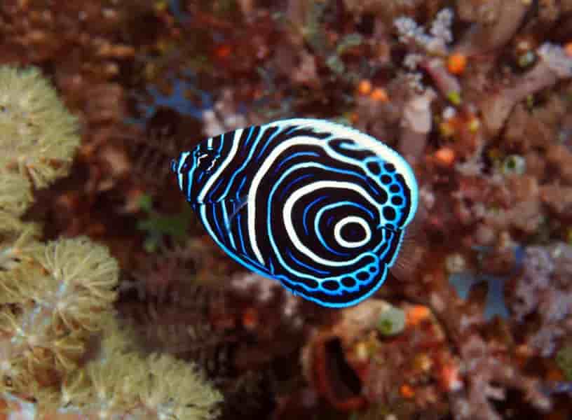 Thumbnail 4 Thumbnail 4