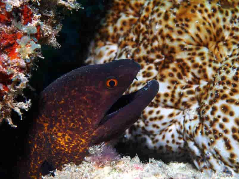 Thumbnail 5 Thumbnail 5