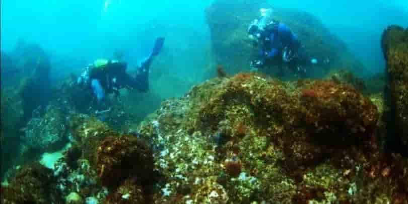 Thumbnail 2 Thumbnail 2