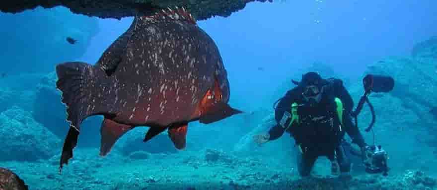 Thumbnail 6 Thumbnail 6