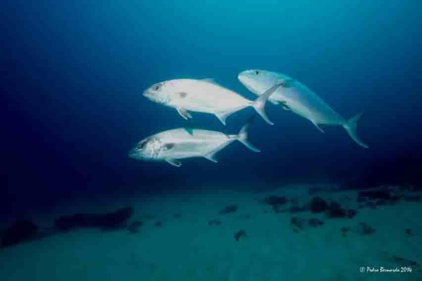 Thumbnail 10 Thumbnail 10