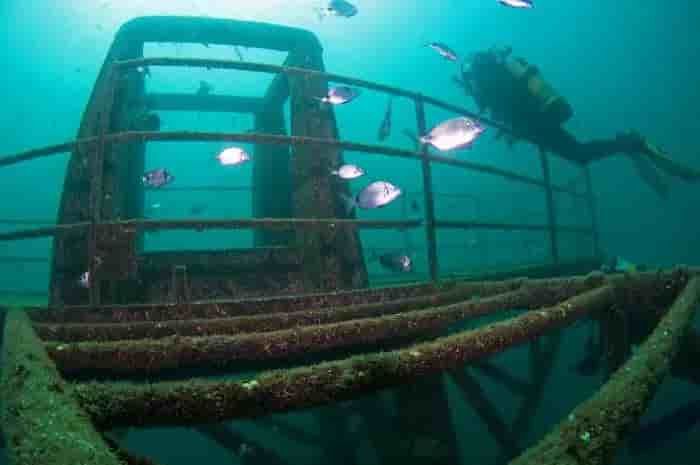 Thumbnail 5 Thumbnail 5