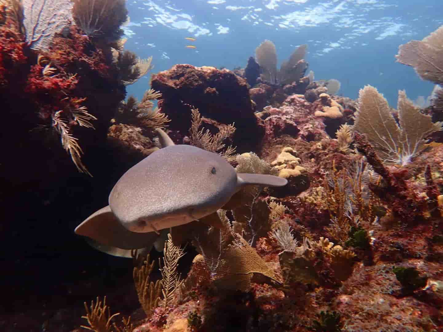 Thumbnail 4 Thumbnail 4