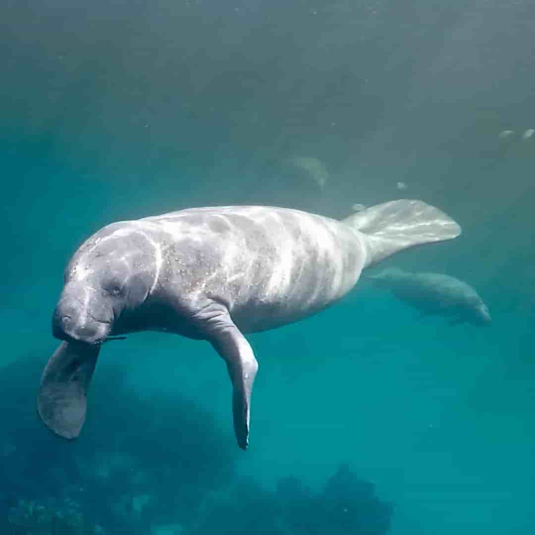 Thumbnail 7 Thumbnail 7