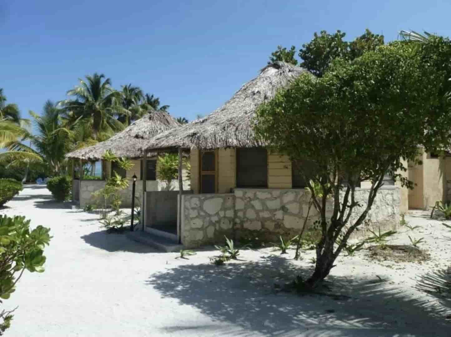 Thumbnail 10 Thumbnail 10