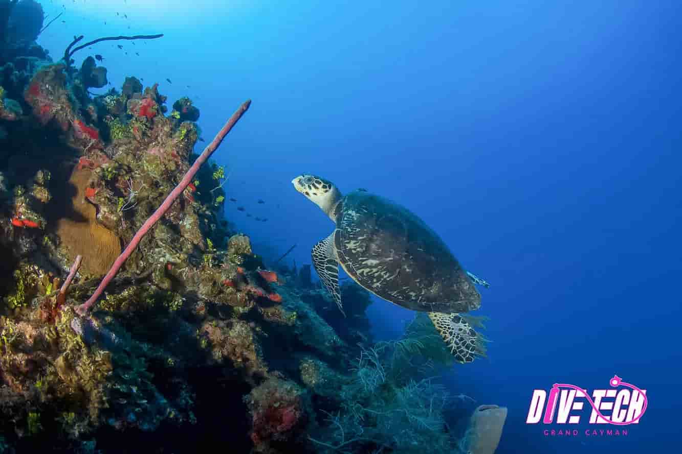 Thumbnail 1 Thumbnail 1