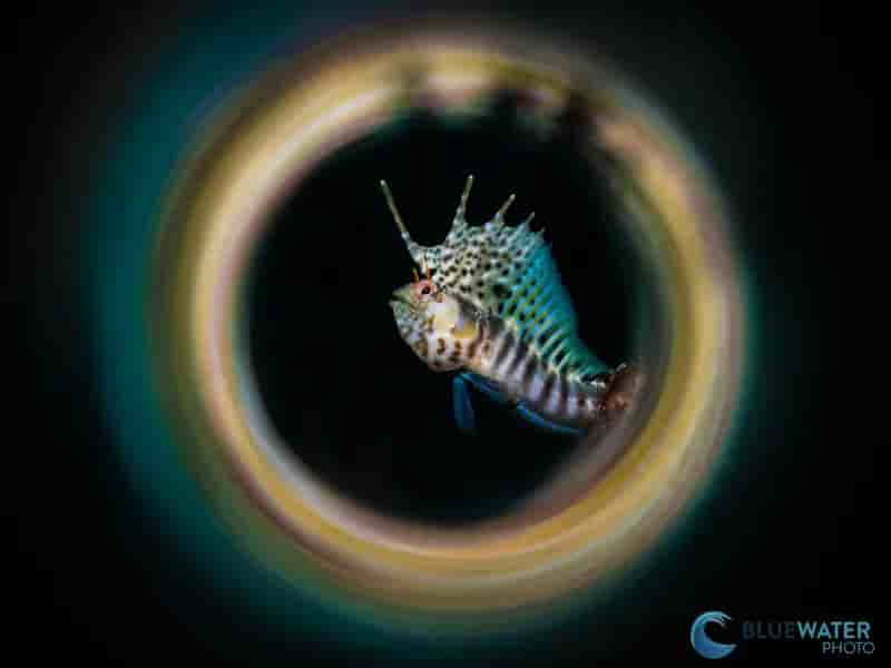 Thumbnail 2 Thumbnail 2