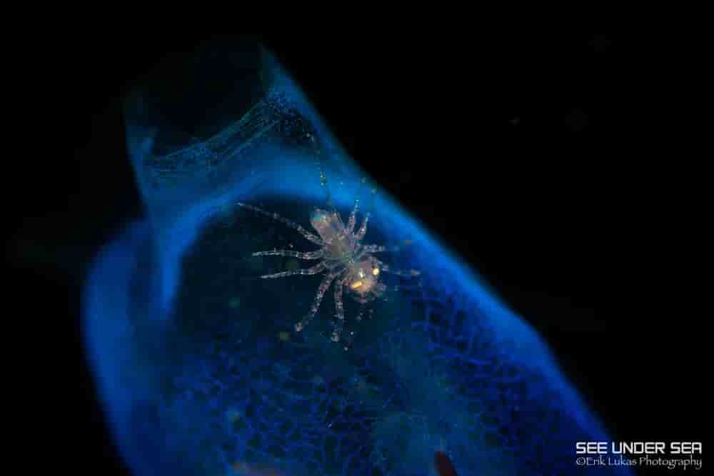 Thumbnail 4 Thumbnail 4