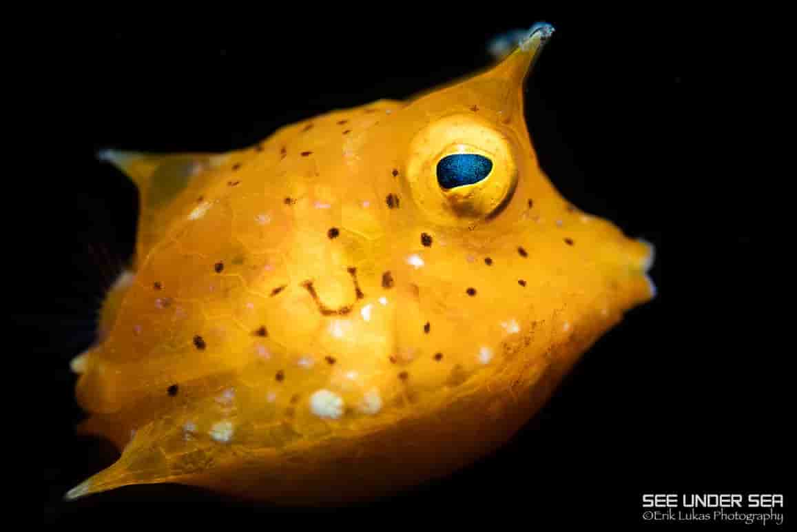 Thumbnail 5 Thumbnail 5